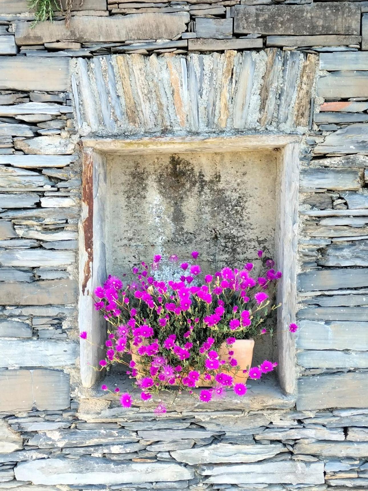 Ca' Da Tollo Hotel Cogorno Exterior foto